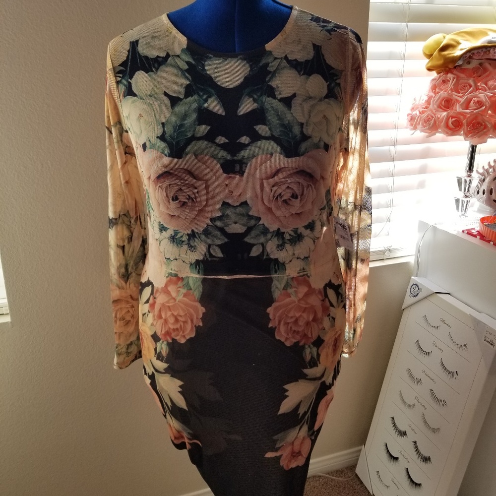 Charolette Russe Plus Rose Bodycon Dress